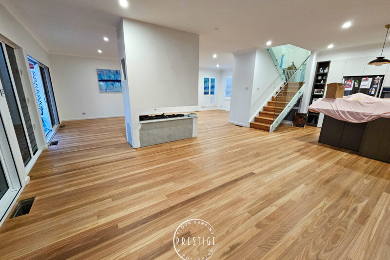 Blackbutt - Eleebana - Blackbutt