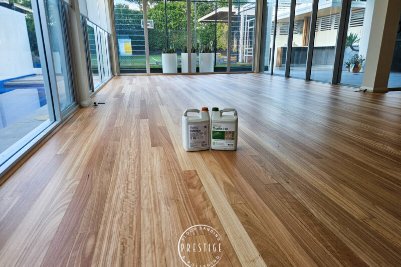 Blackbutt - Hamilton -
