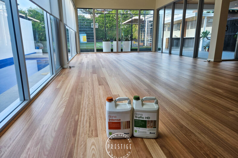 Blackbutt - Hamilton -