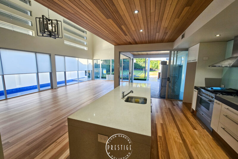 Blackbutt - Hamilton -