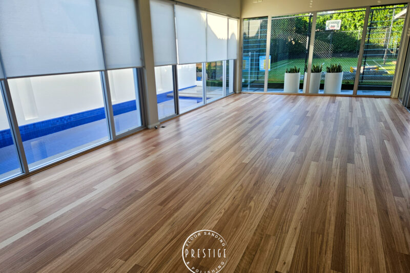 Blackbutt - Hamilton -