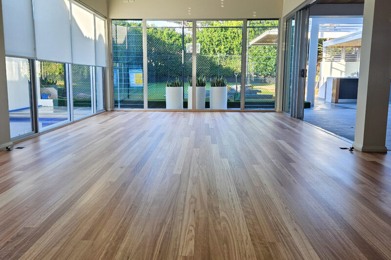 Blackbutt - Hamilton -