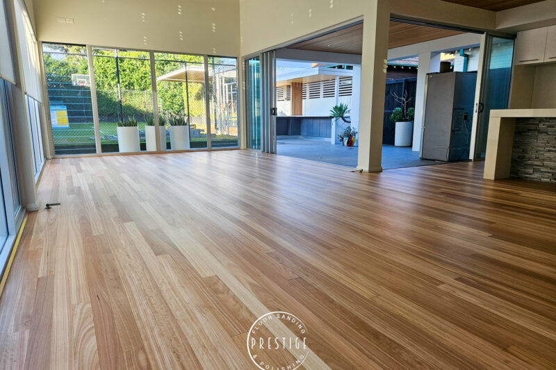 Blackbutt - Hamilton -