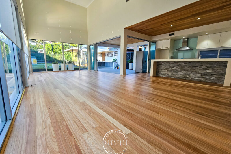 Blackbutt - Hamilton -