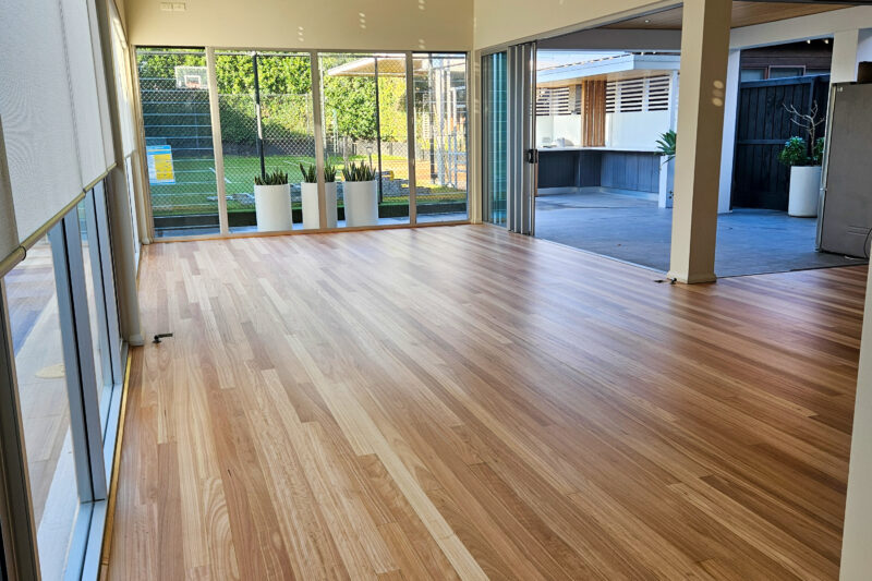 Blackbutt - Hamilton -