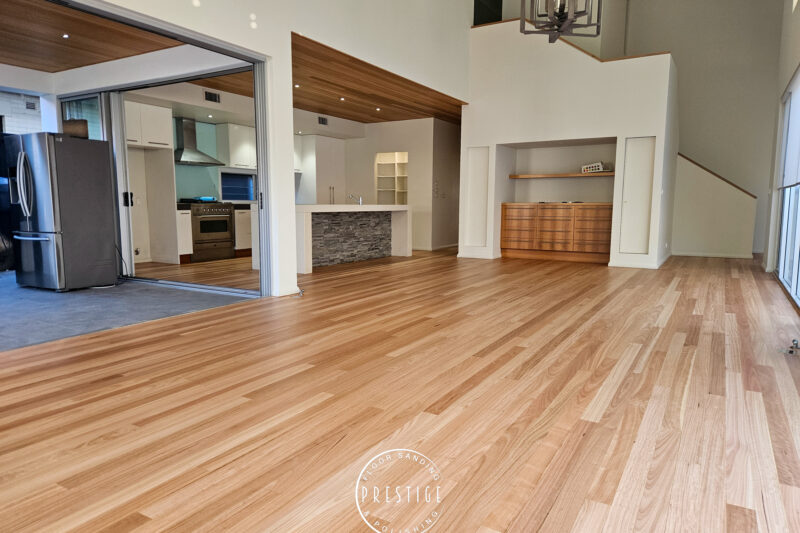 Blackbutt - Hamilton -