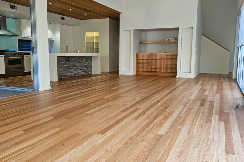 Blackbutt - Hamilton -