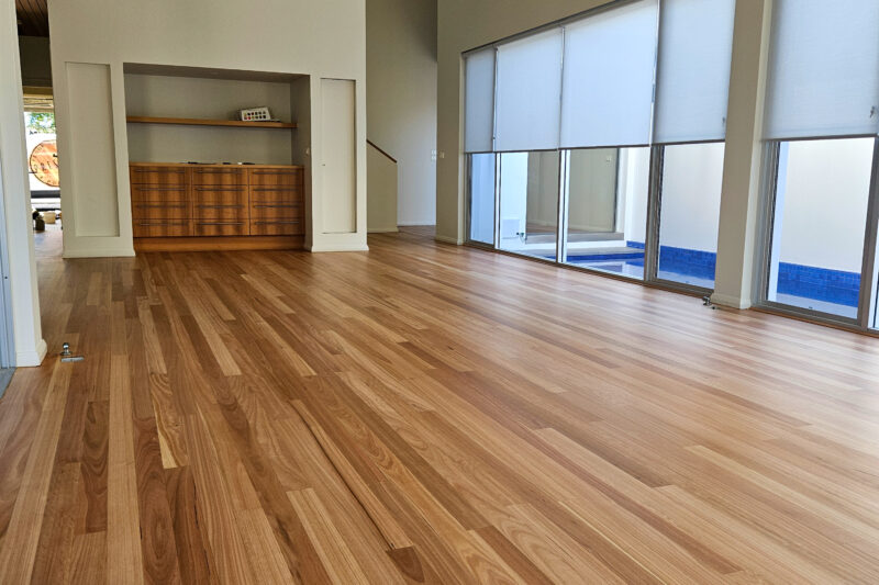 Blackbutt - Hamilton -