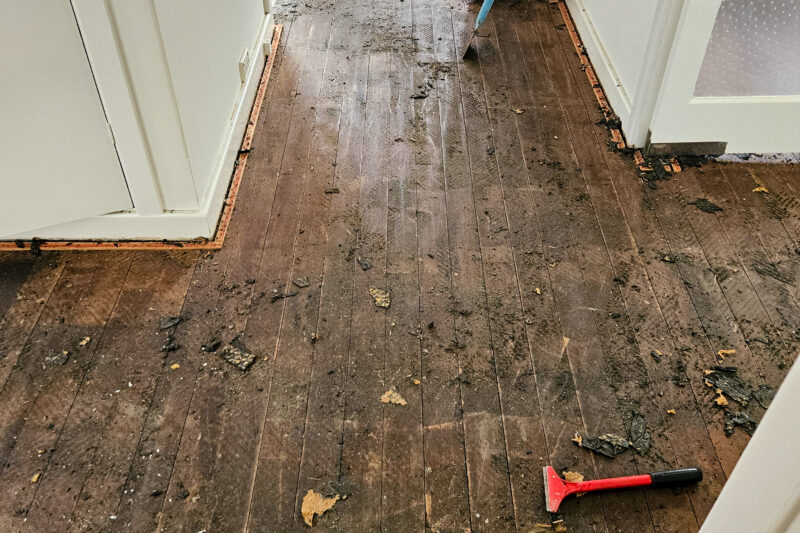 Georgetown - Renovation