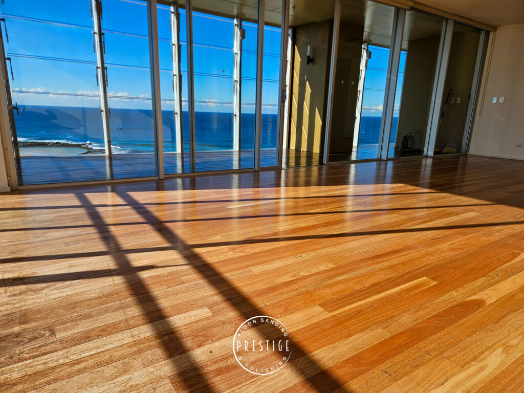Newcastle Beach - Blackbutt - Newcastle Beach