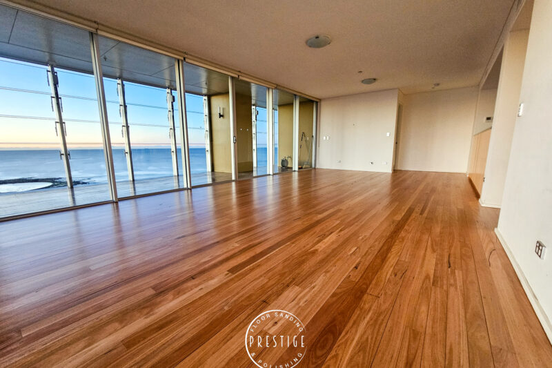 Newcastle Beach - Blackbutt - Newcastle Beach